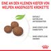 Royal Canin Medium Puppy Trockenfutter für Welpen mittelgroßer Hunderassen Royal Canin Medium Puppy Trockenfutter für Welpen mittelgroßer Hunderassen