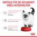 Royal Canin Kitten Trockenfutter