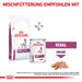 Royal Canin Renal Special Trockenfutter für Hunde Royal Canin Renal Special Trockenfutter für Hunde