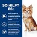 Hills Canine t/d Mini