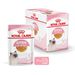 Royal Canin Kitten Frischebeutel mit Gelee Royal Canin Kitten Frischebeutel mit Gelee