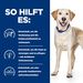 Hills d/d Hund Trockenfutter bei Unverträglichkeiten