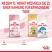 Royal Canin Kitten Trockenfutter