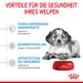 Royal Canin Medium Puppy Trockenfutter für Welpen mittelgroßer Hunderassen Royal Canin Medium Puppy Trockenfutter für Welpen mittelgroßer Hunderassen
