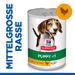 Hills Science Plan Canine Hund Puppy Huhn Dosenfutter