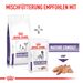 Royal Canin Mature Consult Small Dogs Trockenfutter für Hunde Royal Canin Mature Consult Small Dogs Trockenfutter für Hunde