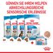 Royal Canin Starter Ultra Soft Mousse für Welpen
