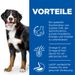 Hills Science Plan Canine Senior Vitality Large Breed Mature Adult 6+ Trockenfutter mit Huhn & Reis