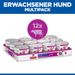 Hills Science Plan Small & Mini Mature Adult Mousse für Hunde mit Rindfleisch Dosenfutter
