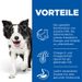 Hills Science Plan Canine Senior Vitality Medium Mature Adult 7+ Trockenfutter mit Huhn & Reis