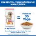 Hills Science Plan Canine Light Adult Large Breed mit Huhn Trockenfutter