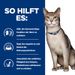 Hills Feline k/d Rind Frischebeutel für Katzen Hills Feline k/d Rind Frischebeutel für Katzen