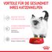 Royal Canin Kitten Frischebeutel mit Gelee Royal Canin Kitten Frischebeutel mit Gelee