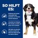 Hills Metabolic + Mobility Dosenfutter für Hunde Hills Metabolic + Mobility Dosenfutter für Hunde