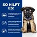 Hills Prescription Diet i/d Digestive Care Puppy Trockenfutter für Hunde mit Huhn
