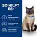 Hills Z/D mit ActivBiome+ Dosenfutter für Katzen mit Allergien