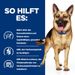 Hills Prescription Diet Canine Gastrointestinal Biome Trockenfutter für Hunde Hills Prescription Diet Canine Gastrointestinal Biome Trockenfutter für Hunde