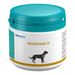 almapharm MultiVital H für Hunde almapharm MultiVital H für Hunde