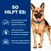 Hills Gastrointestinal Biome Hundefutter mit Huhn in kleinen Dosen