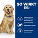 Hills j/d Reduced Calorie Trockenfutter für Hunde