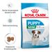 Royal Canin Mini Puppy Trockenfutter für Welpen kleiner Hunderassen
