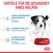 Royal Canin Mini Puppy Trockenfutter für Welpen kleiner Hunderassen