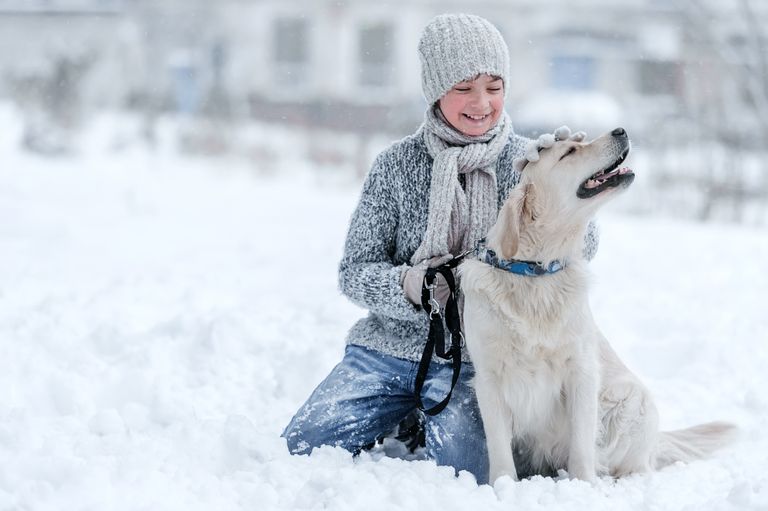 Tierarztwissen: Wie Ihr Hund gesund durch den Winter kommt