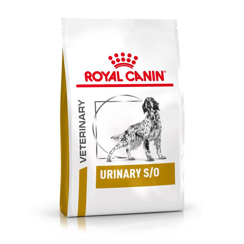 Royal Canin Urinary S/O Trockenfutter für Hunde