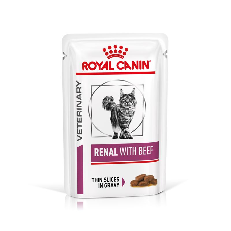 Royal Canin Renal Rind Feine Stückchen in Soße Frischebeutel für Katzen