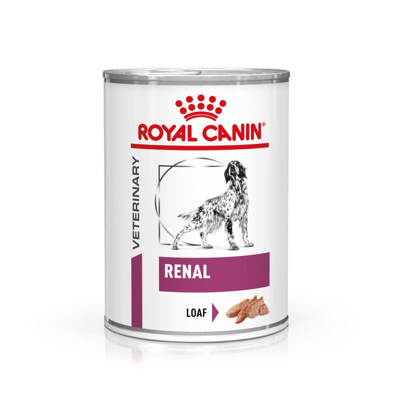 Royal Canin Renal Mousse Dosenfutter für Hunde