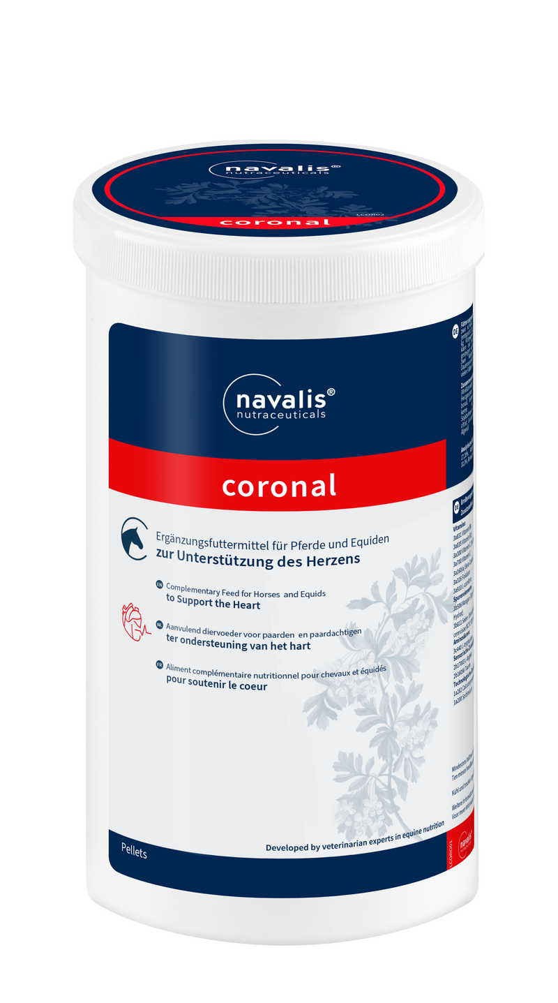 Navalis Coronal Horse
