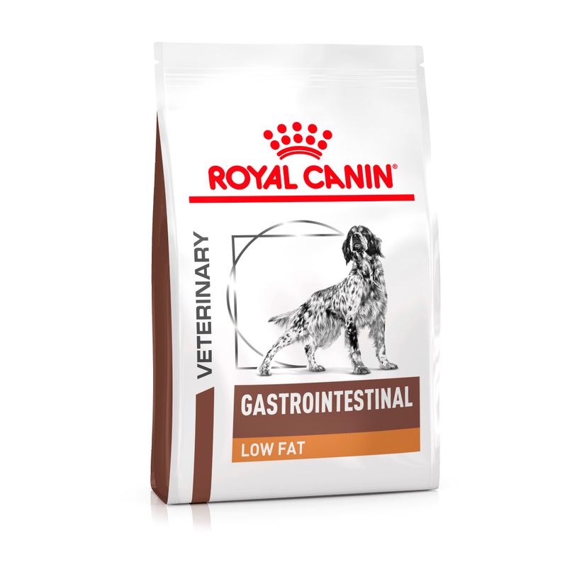 Royal Canin Gastrointestinal Low Fat Trockenfutter für Hunde