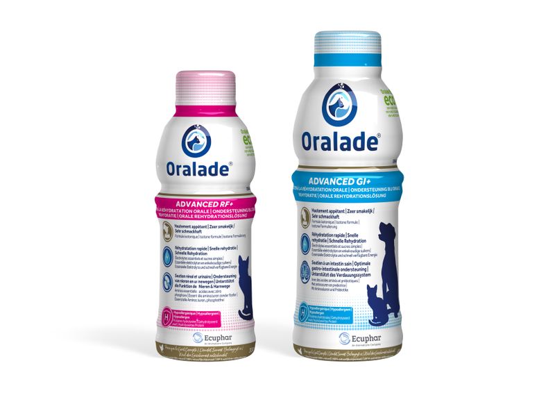 Oralade Advanced für Hunde und Katzen