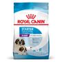 Royal Canin Giant Starter Trockenfutter