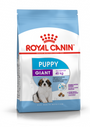 Royal Canin Gigant Puppy Trockenfutter für Welpen sehr großer Rassen