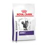 Royal Canin Adult Trockenfutter für Katzen