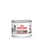 Royal Canin Recovery Ultra Soft Mousse in Dosen für Hunde und Katzen